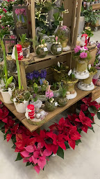 Photo n°2 de Les Jardins 2 David à Janville-en-Beauce (Jardinerie)