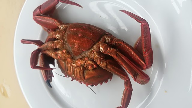 Restaurante La Tortuga