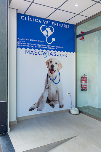 Mascotas.clinic