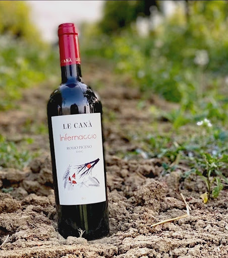 Le Canà - Visual