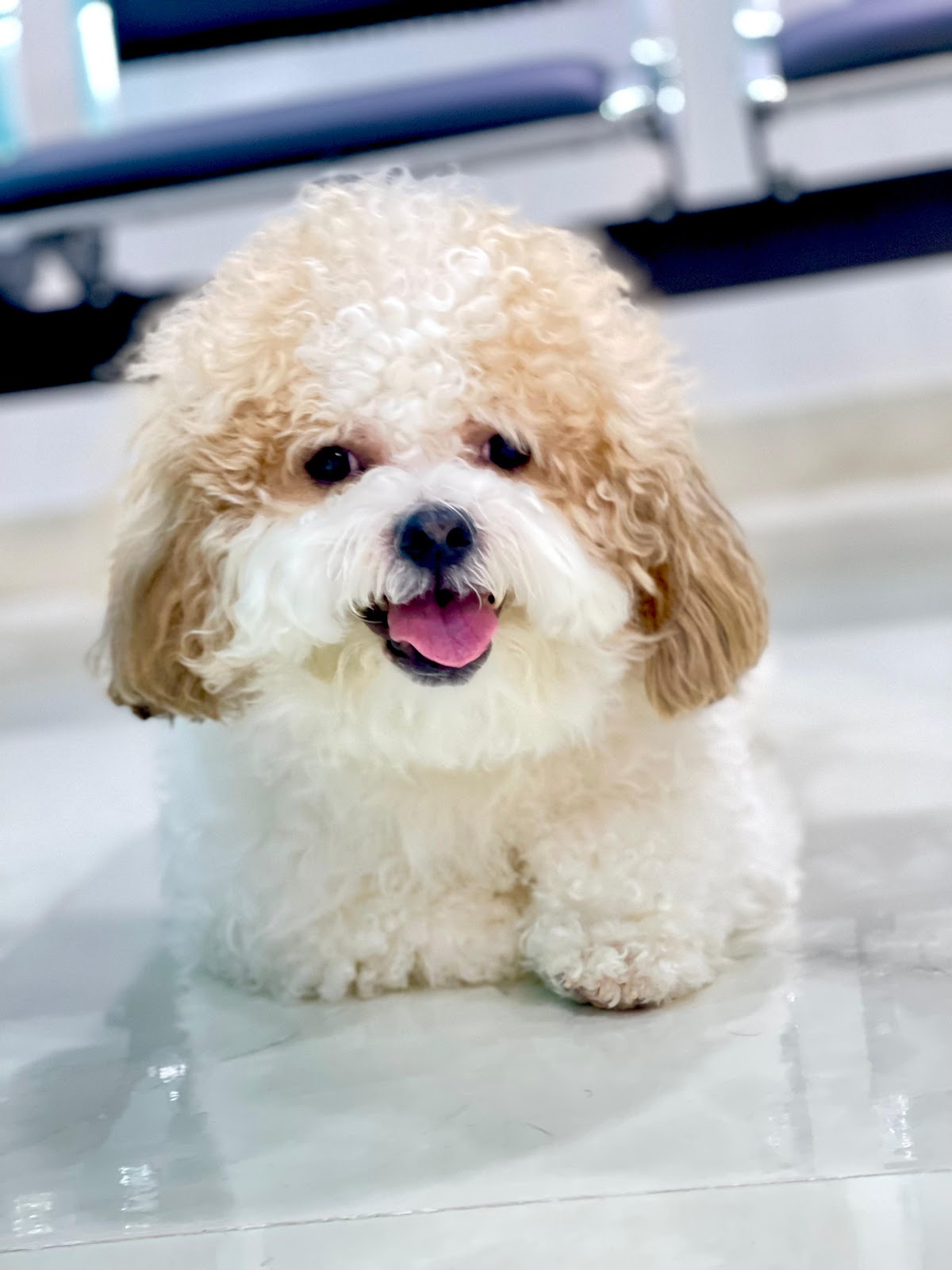 Purrs N Tails - صورة 3