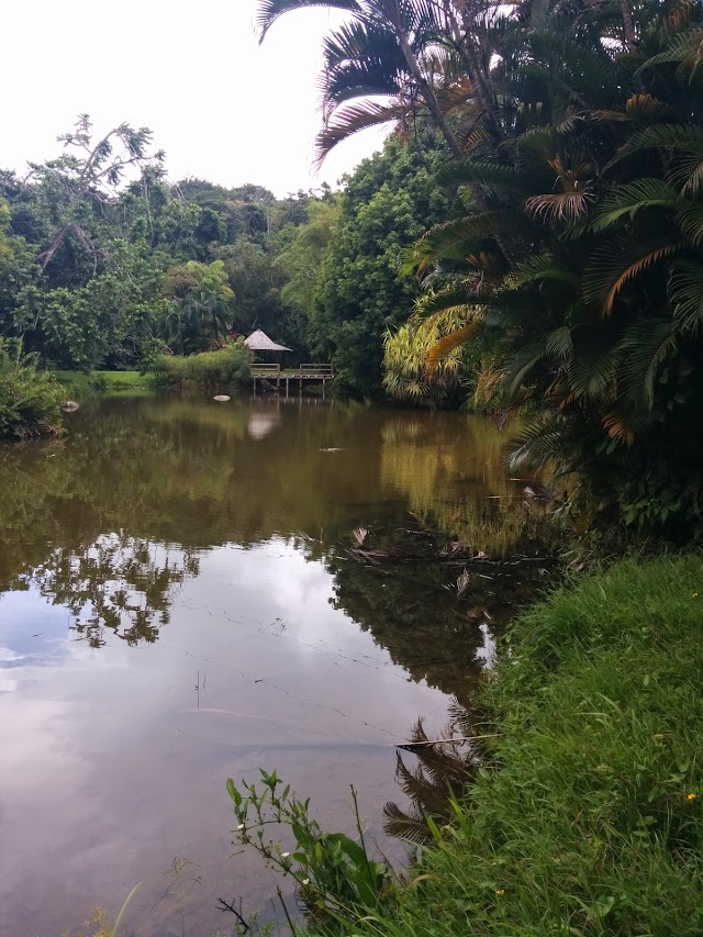 Jardin d'Eau