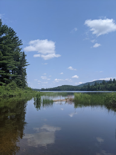 John Dillon Park - Thumbnail