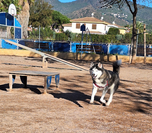 Parc caní El Palmeral - Thumbnail