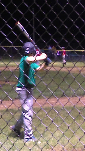 Miller Fields - Visual