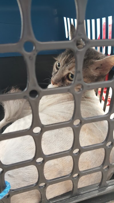 Photos of Pasteur Veterinary Clinic
