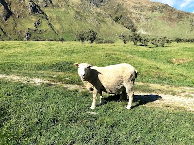 Photos of Tititea / Mount Aspiring National Park Visitor Centre