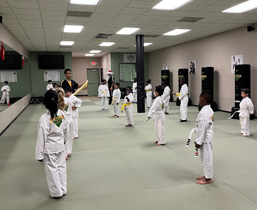 Premier Martial Arts of Richmond - Thumbnail