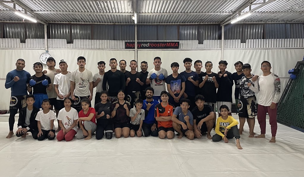 Happy Red Rooster Mma