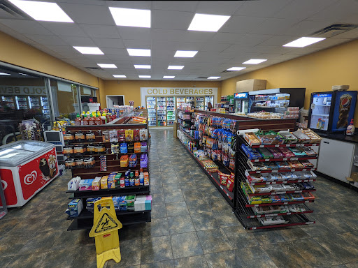 FLEMINGTON SHELL - Visual