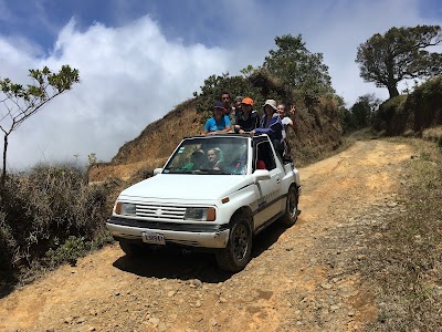 Photos of Monte Tabor