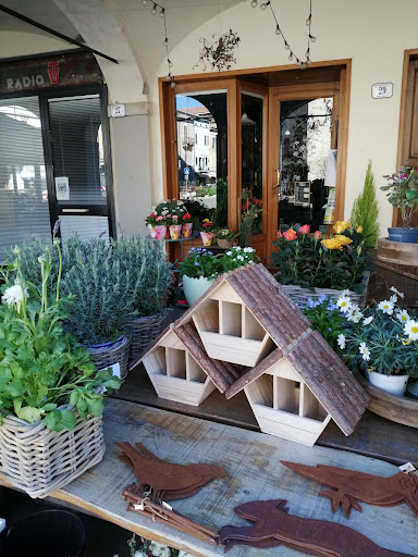Fior di Campo Gallery - Italy