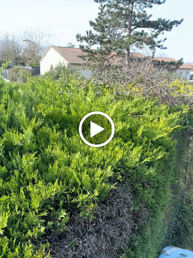 Photo de Espace vert d’aquitaine à Saint-Christoly-de-Blaye (33920)