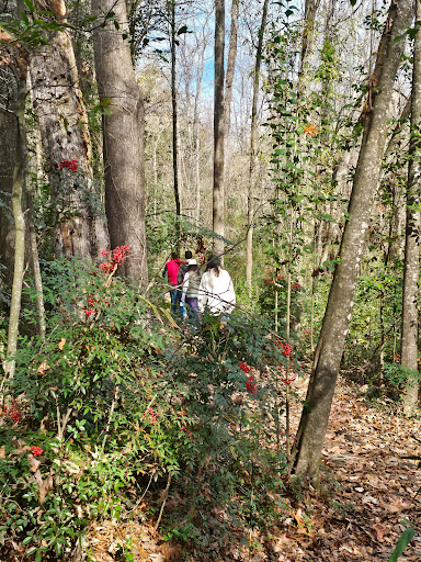 Coates Bluff Nature Trail - Thumbnail