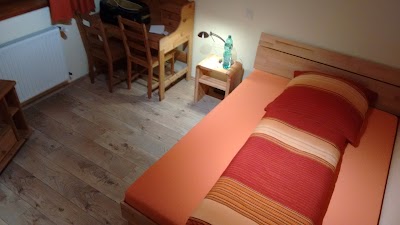 Photos of Gelber L&ouml;we