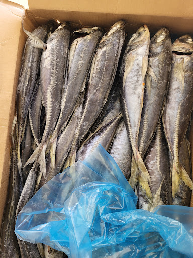 African fish - Visual