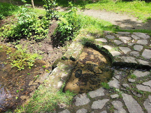Source du Stanco - Visual