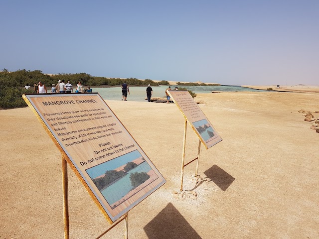 Ras Mohamed Nature Reserve