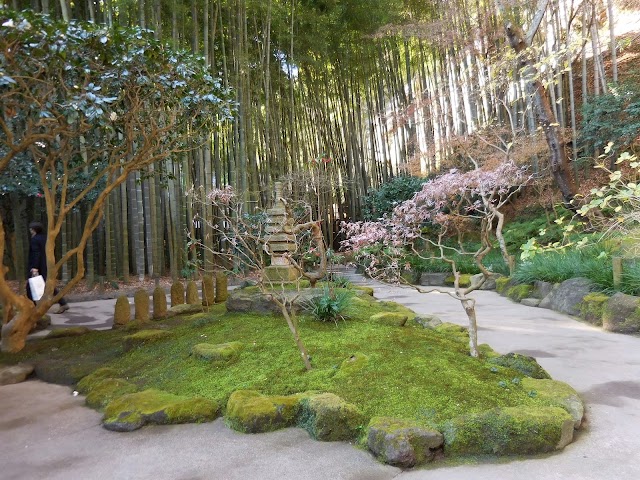 Hokokuji Bamboo Forest