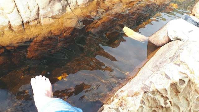 Tsitsikamma National Park