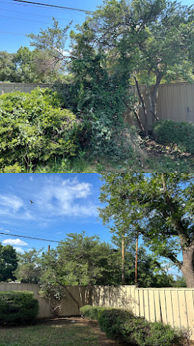 Tree Pros & Landscaping
