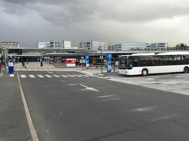 Terminal 2D