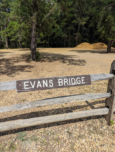 Evans Bridge - Visual