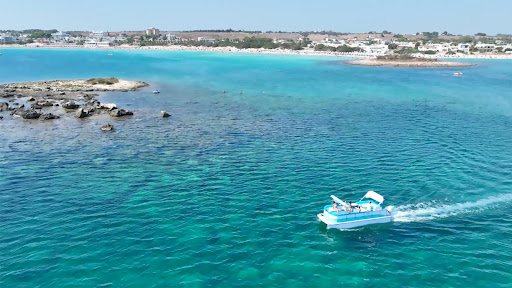 Absolute BoaTour | Escursioni marine e locazione imbarcazioni - Thumbnail