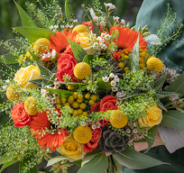 Viviane Fleurs à Saint-Léonard-de-Noblat