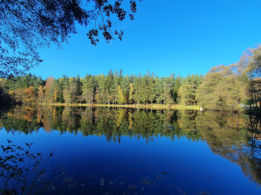 Schwemmteiche - Visual