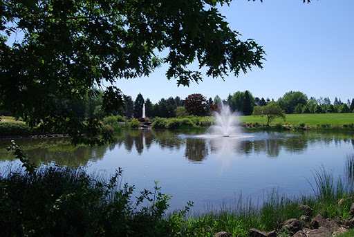 AmberGlen Park - Visual