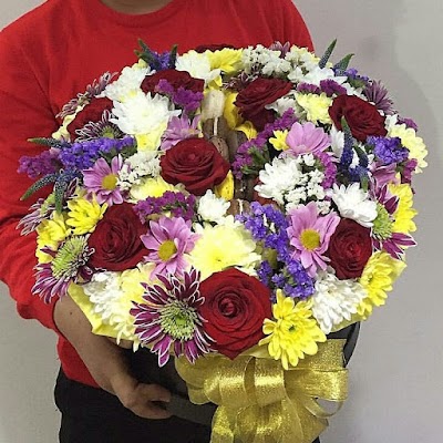 Photos of JS flor