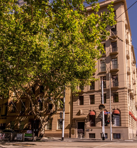 Collins Street Dental - Thumbnail