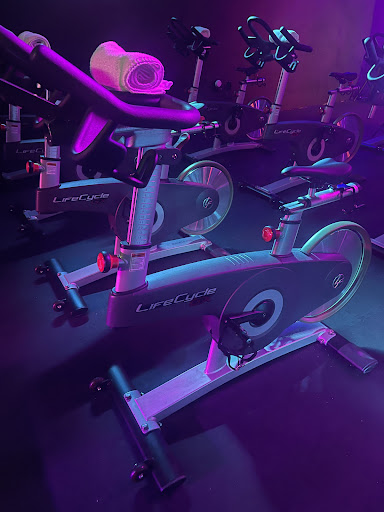 Evolution Cycle Studio - Visual