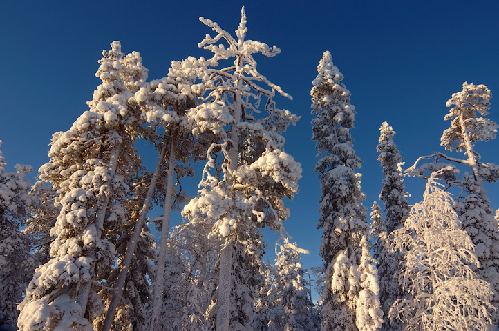 Hotel Uitonniemi by null