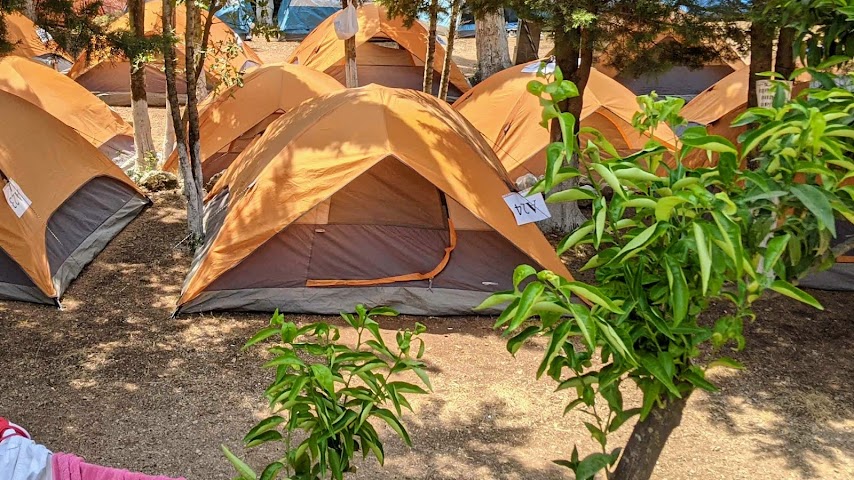 The Sea Turtle Camping Dhërmi by null