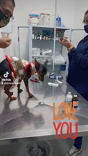 Avaliações sobre Clínica Veterinária 24 horas Animacão - Banho e Tosa e Rações Campo Limpo em São Paulo - Veterinário