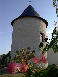 Photo n°40 de La Tour Levoy à Pontlevoy (Chambre d'hôtes)