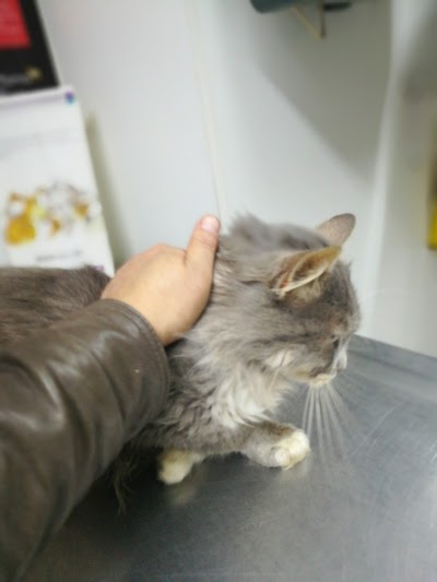 Photos of Posta veterinaria