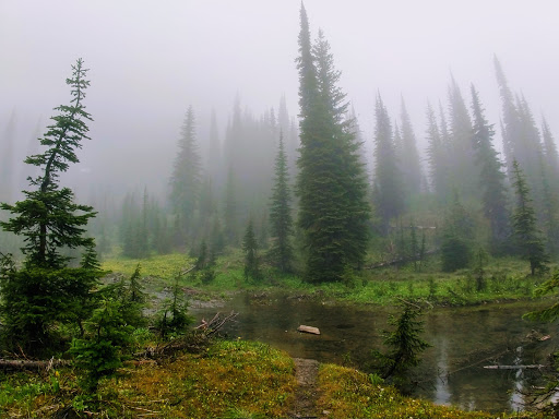 Lily Lake Campsite - Thumbnail