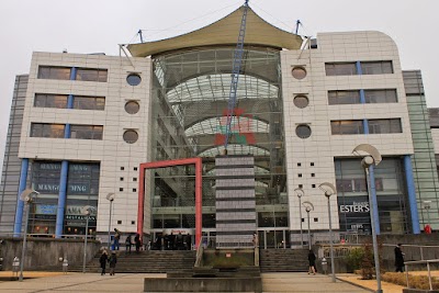 grocery-or-supermarket