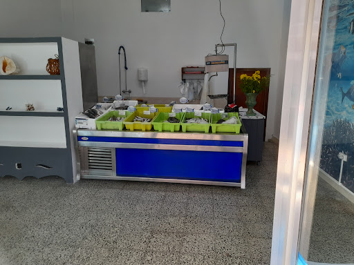 pescaderia bopeixe Gallery - Spain