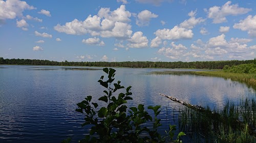 Männikjärve matkarada