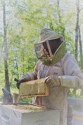 Photo n°11 de AJK MIELS à Barcelonnette (Agriculteur)