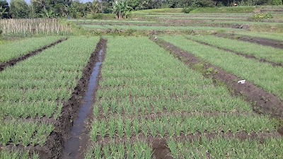 Photos of Lumbung Pangan Poktan Agromulyo