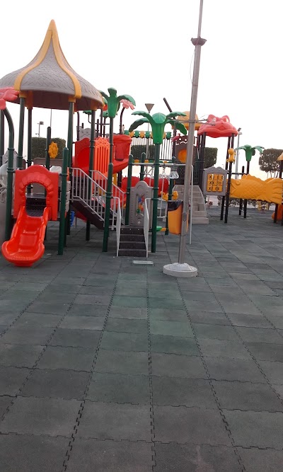 Photos of Shaab Sea Club