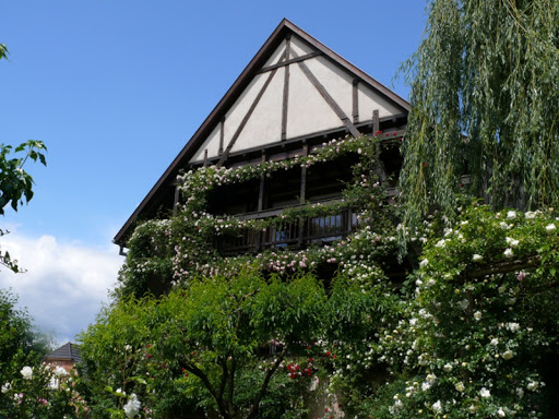 Riedgarten - Visual