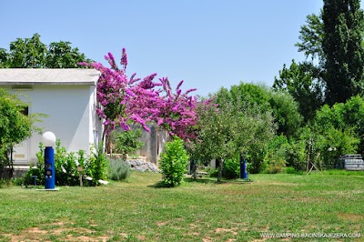 Photos of Camping Bacinska Jezera