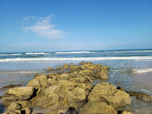River to Sea Preserve - Thumbnail