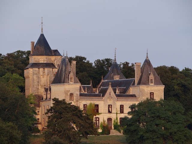 Château de Ternay maison, tables et chambres d'hôtes de caractère avec piscine, Val de Loire, Vienne